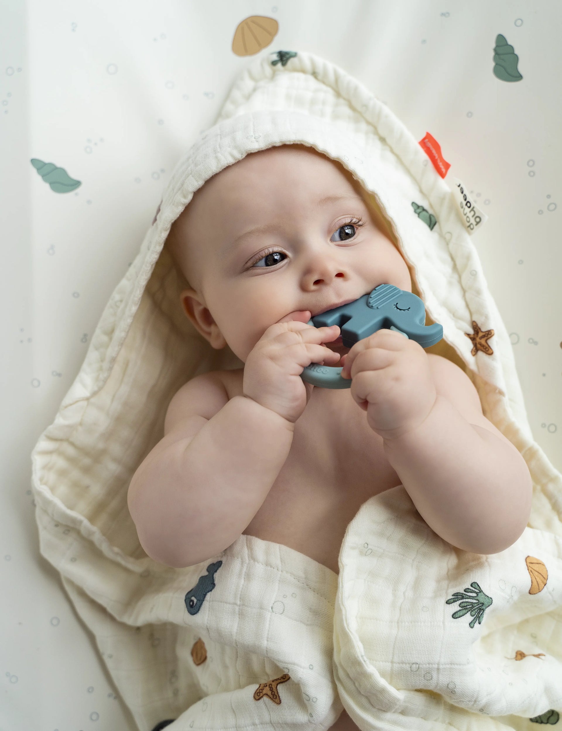 Baby liegt entspannt auf dem Rücken und kaut auf einem blauen Beißring in Form eines Tieres aus der Babylions Kollektion.