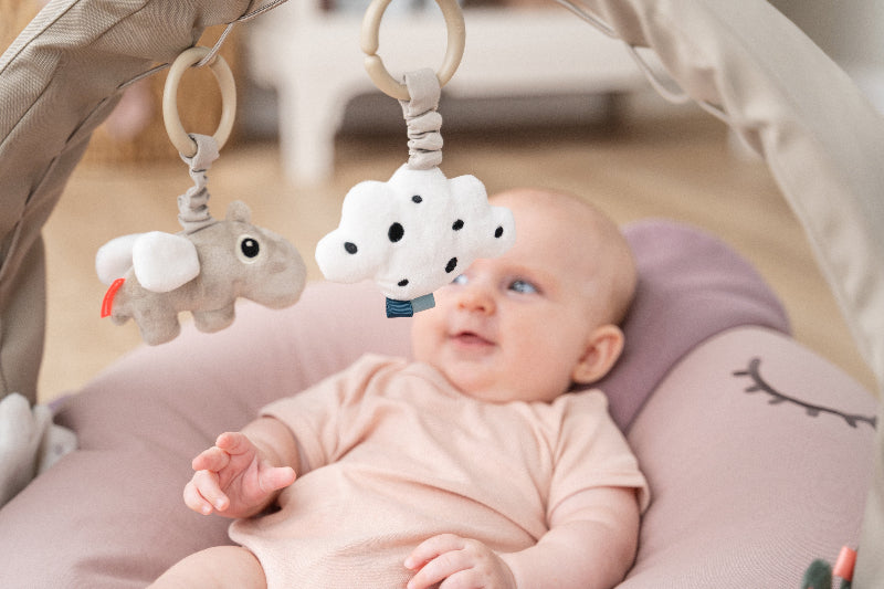 Activity Gym Lalee - Babylions