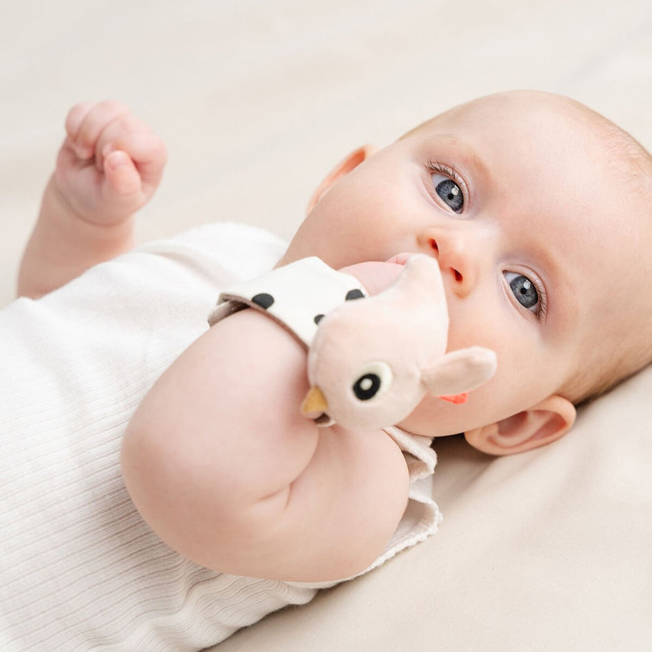 Rasselarmband für Babys – Weiches Handgelenkspielzeug – Rosa oder Blau - Babylions